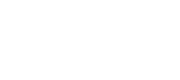 Logo megaAPI